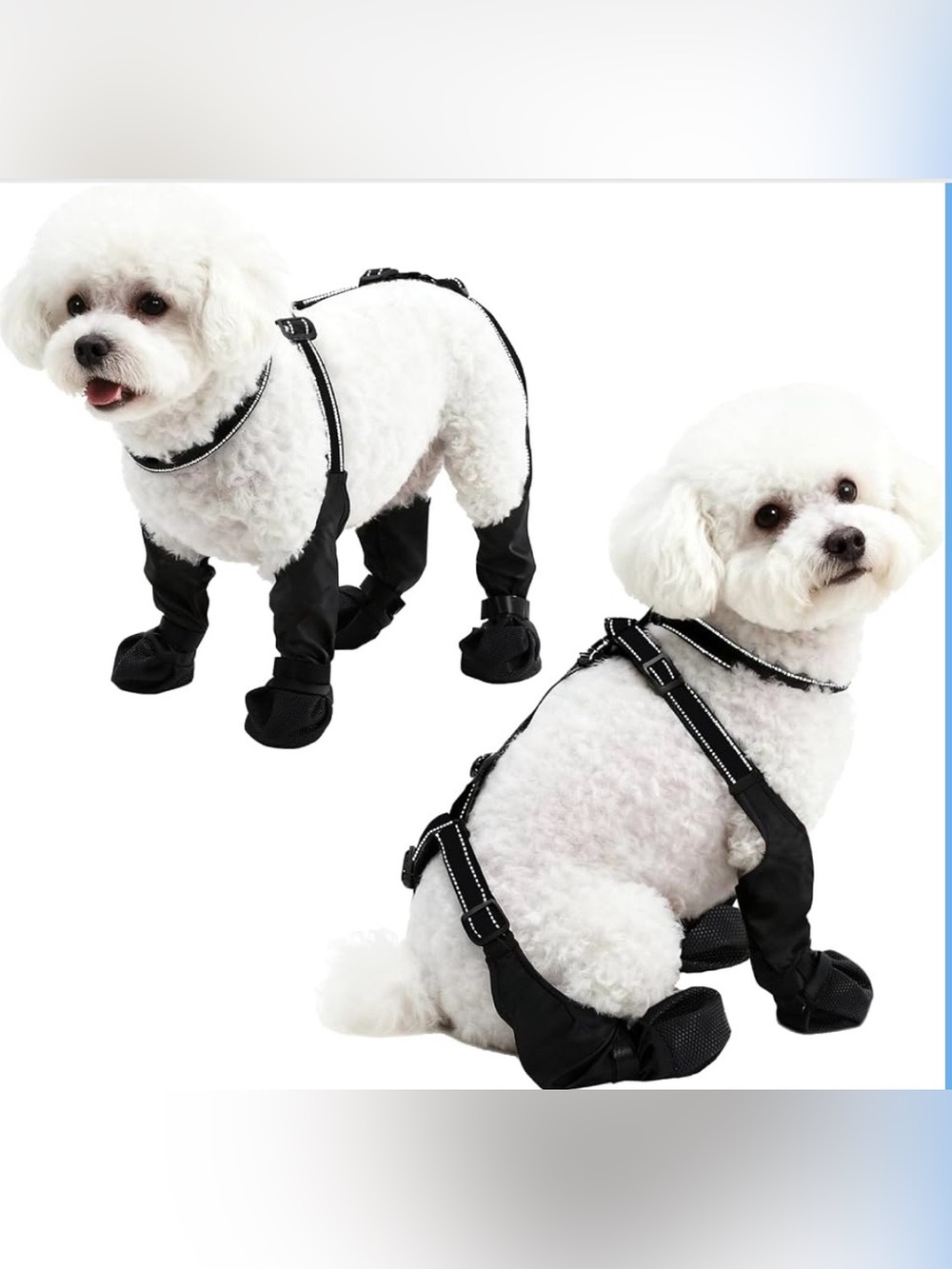 Waterproof Dog Boots for Small &Medium Dogs, Stay-On Paw Protectors
Dog Booties